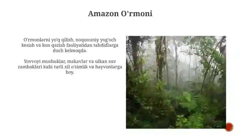 Tabiat mo''jizalarini oshkor etish 3