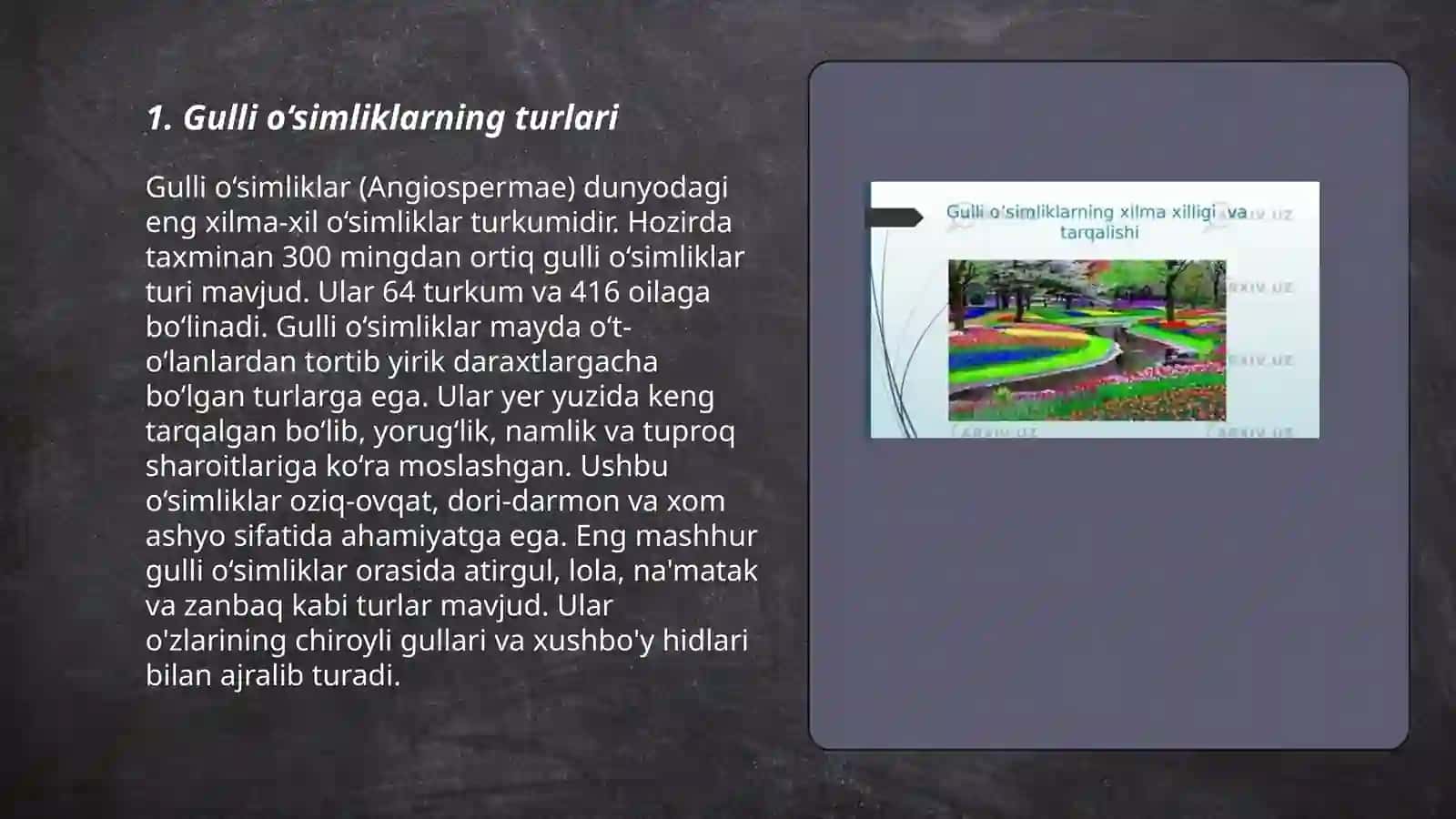 Gulli o‘simliklarning xilma xilligi 3