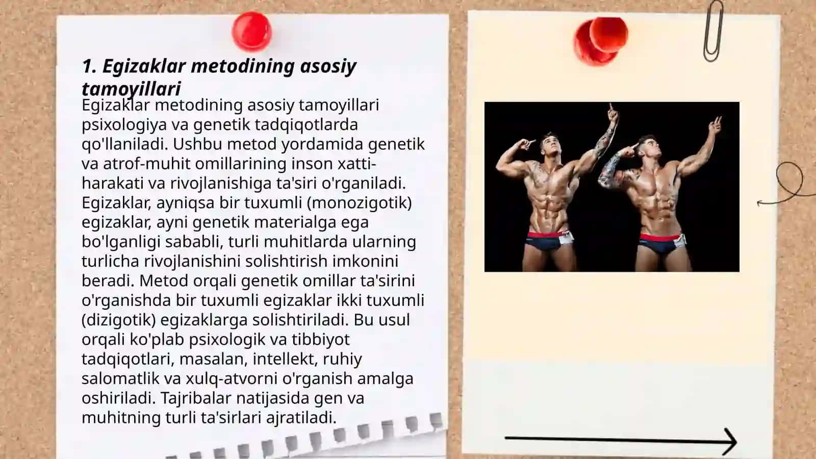 Egizaklar metodi 3