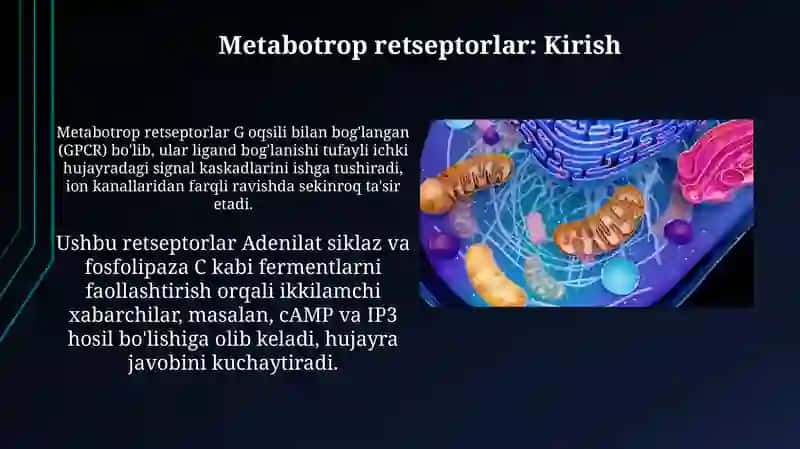 Metabotrop retseptorlar 3