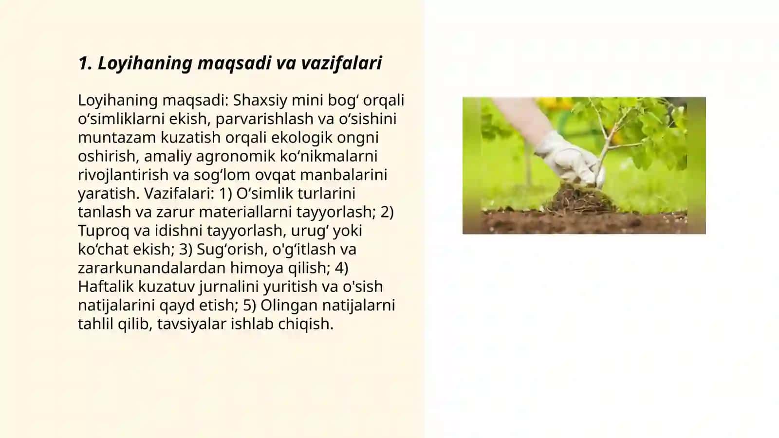 Mening mini bogʻim oʻsimliklarni ekish parvarishlash va oʻsishini kuzatish loyihasi 3