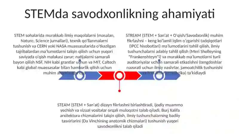 STEM 3