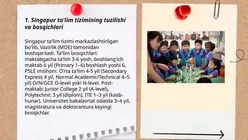 Singapur talim tizimi 3