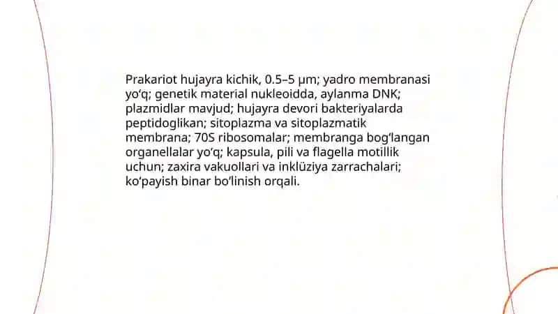 Prakariot hujayra 3
