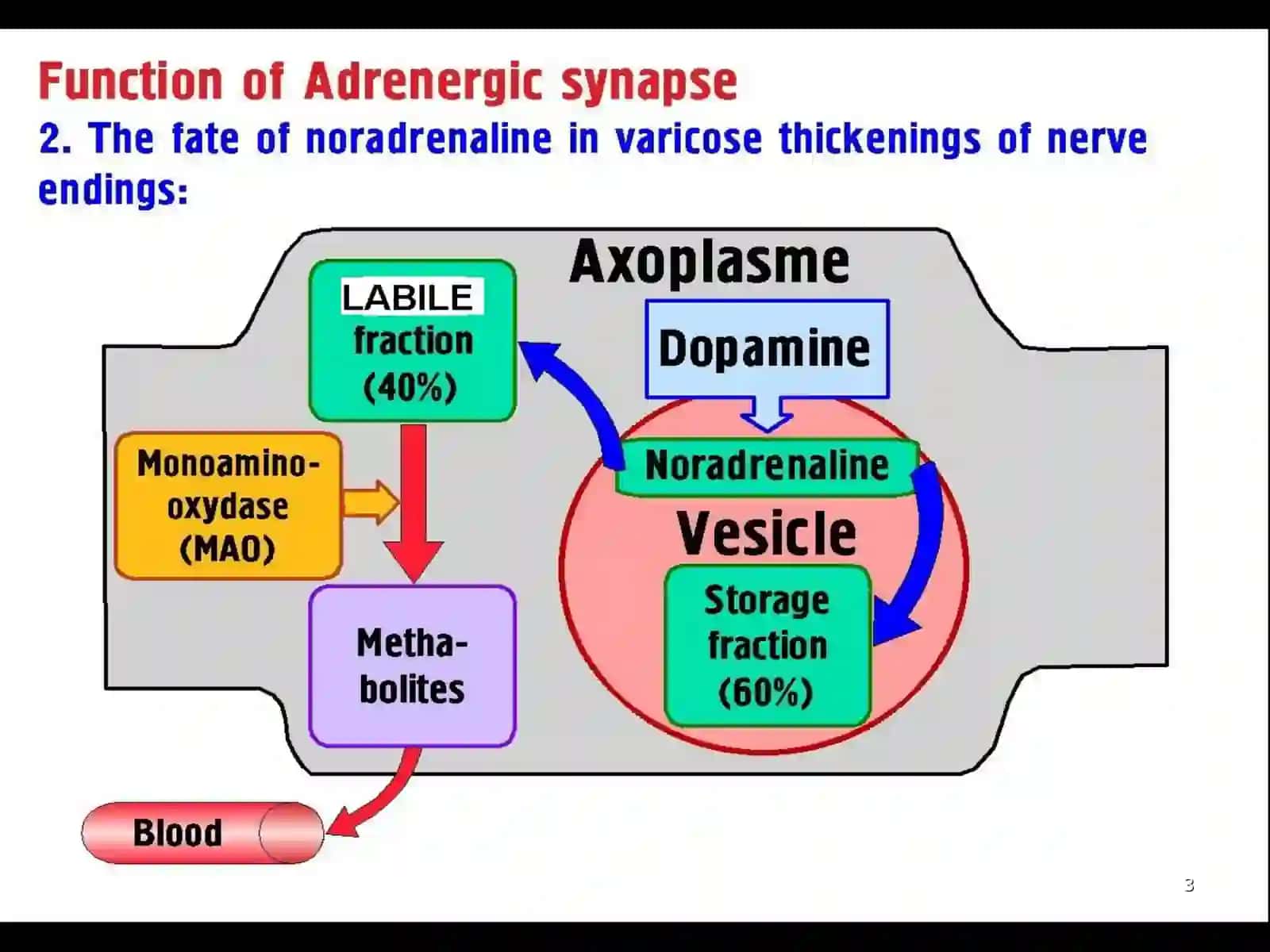 Adrenergic Drugs 3