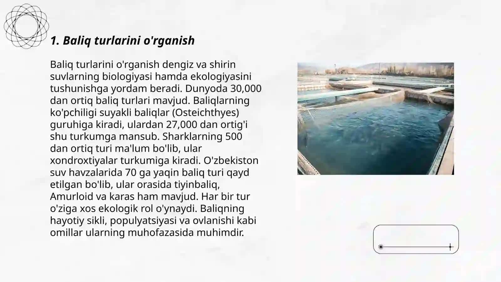 Baliqchilik 3