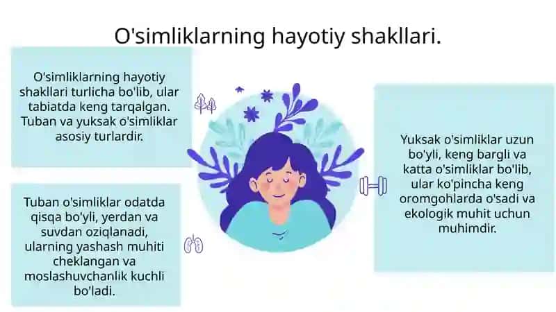 O'simliklarning hayotiy shakllari 3