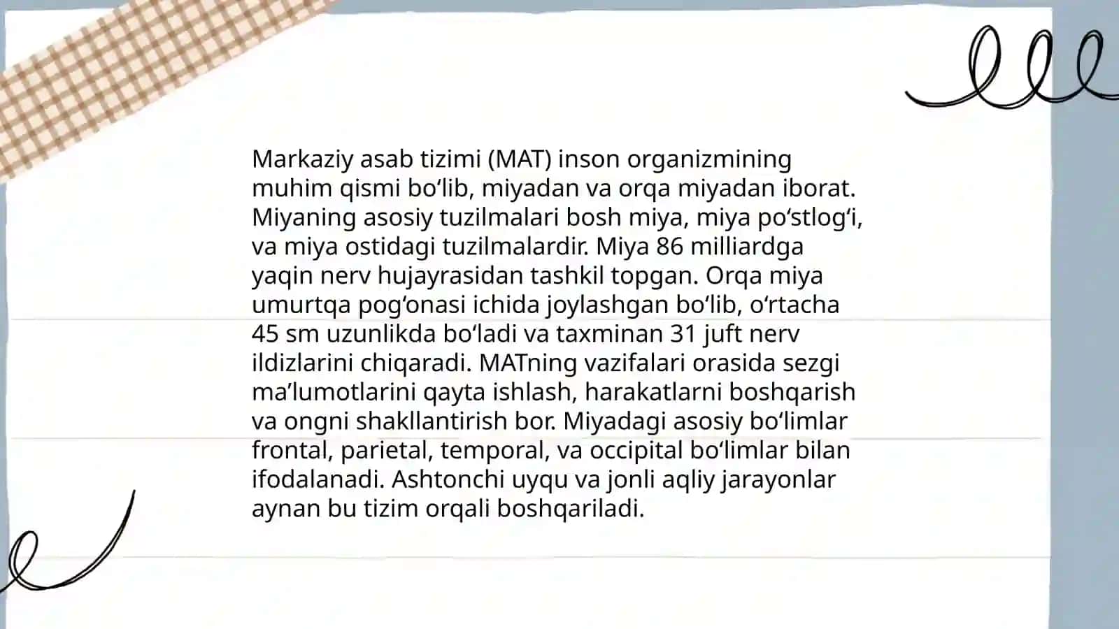 Markaziy nerv sistemasi 3