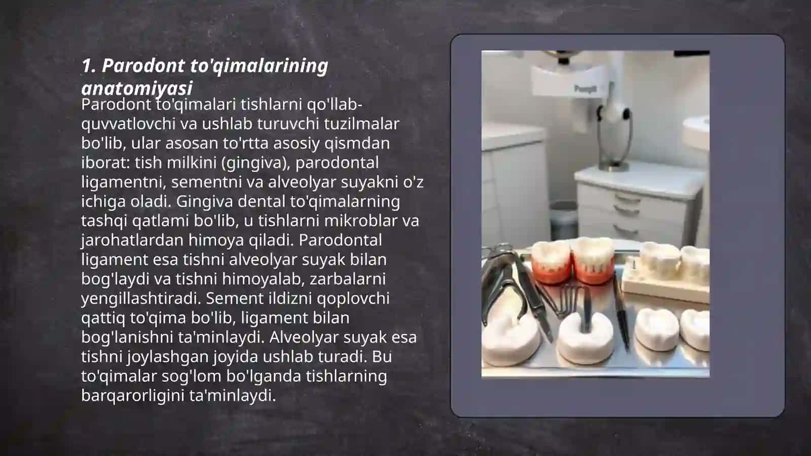 Paradont to'qimasining anatomiyasi 3