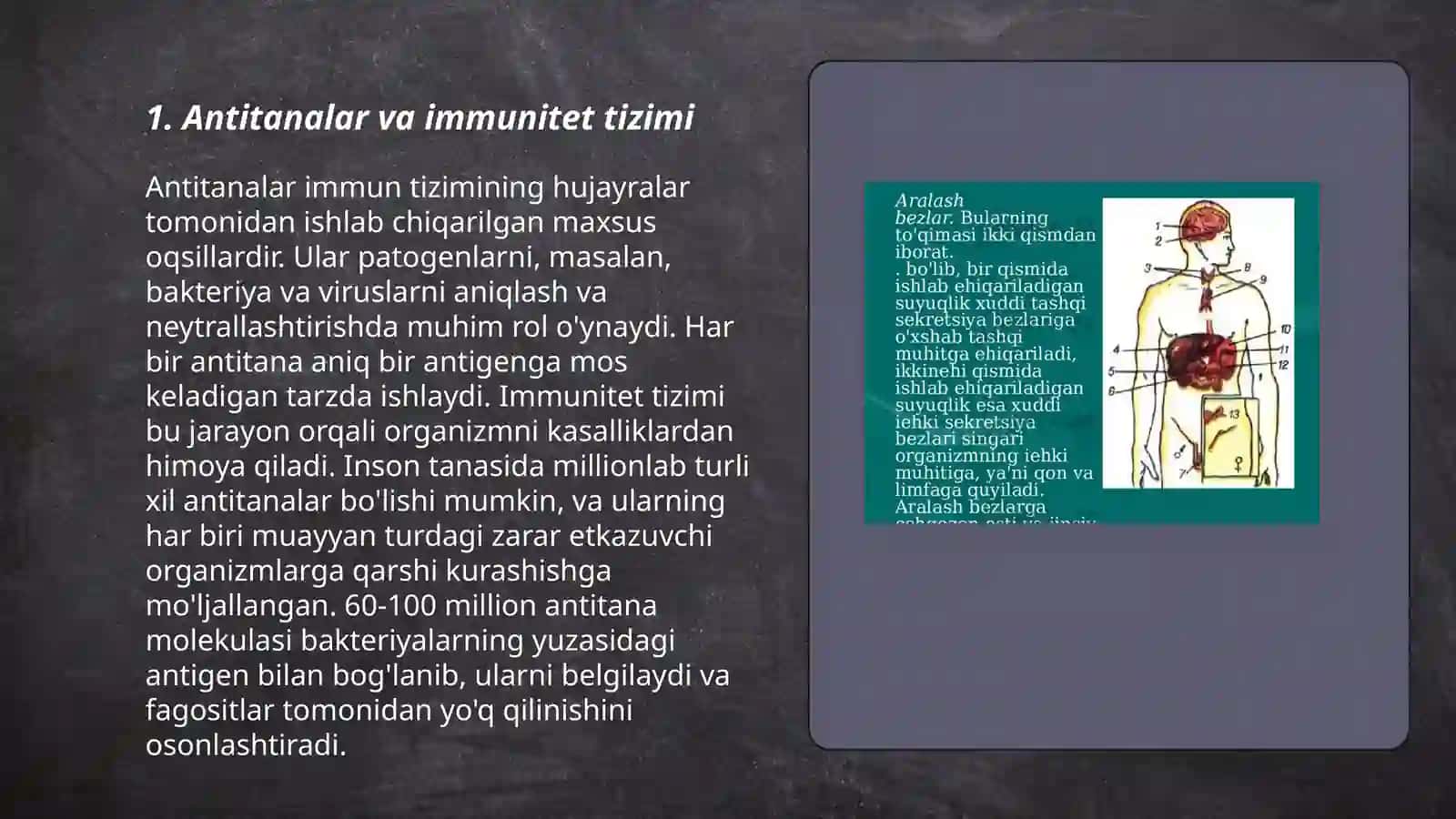 Antitana tuzilishi va ularning xususiyatlari 3