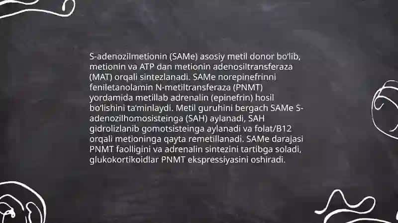 Transemetillanishning ahamiyati 3
