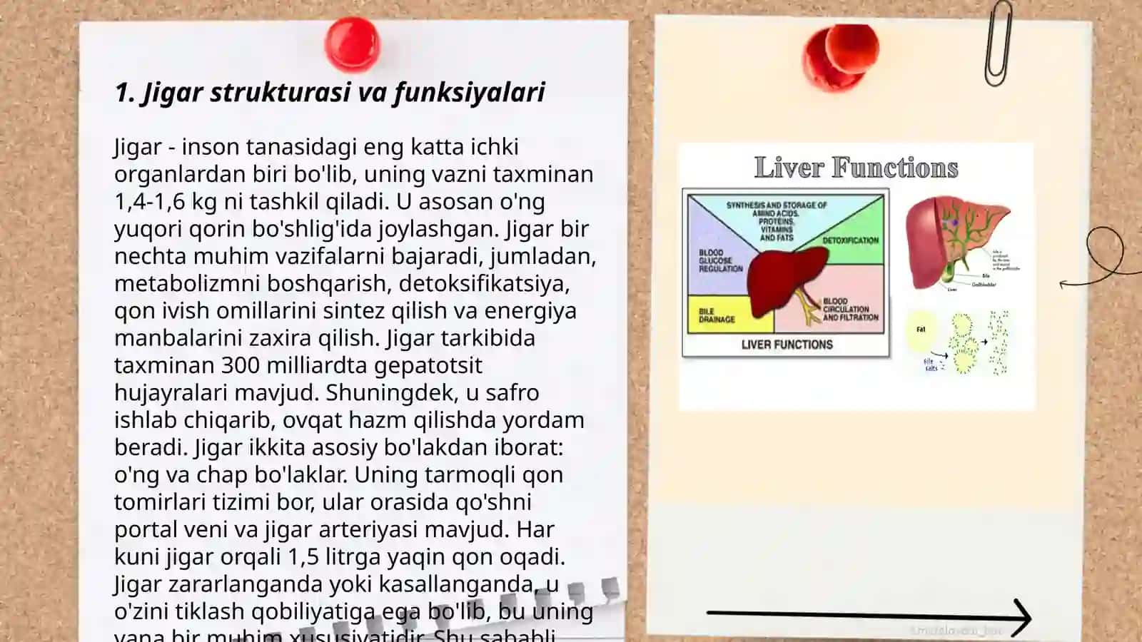 jigar fizologiyasi 3