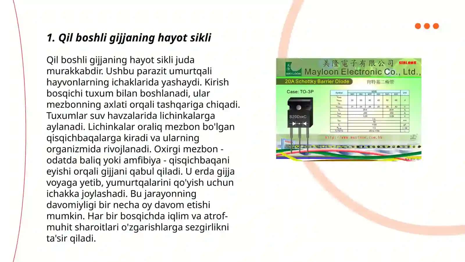Qil boshli gijja infeksiyasini oldini olish choralari 3