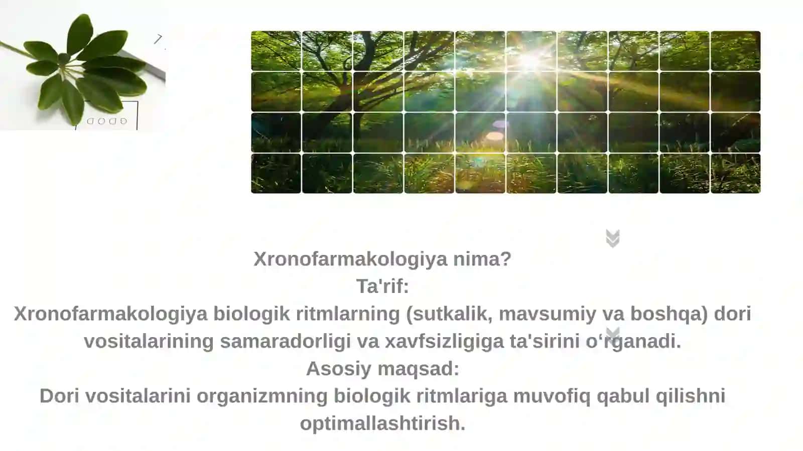 Xronofarmakologiya 3