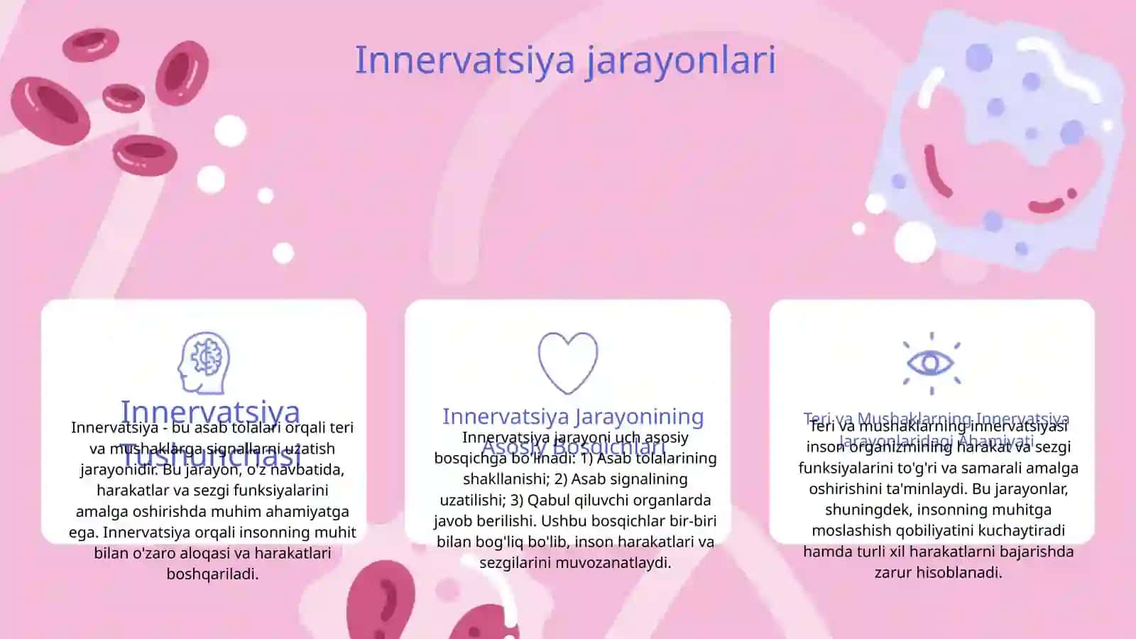 Qoʻl va oyoq terisi innervatsiyasi 3