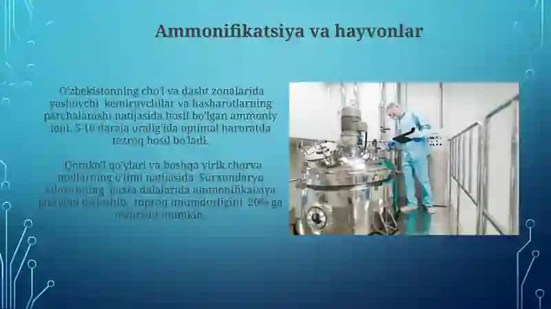 Ammonifikatsiya jarayoni 3