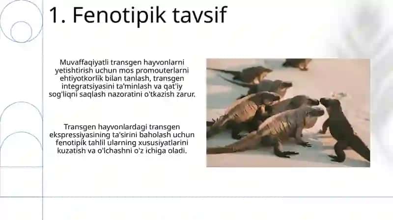 Transgen hayvonlar olish 3