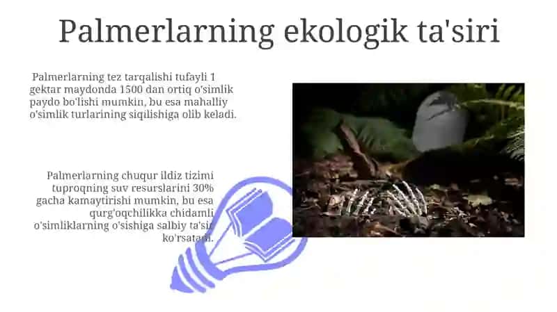Palmerlarning ekologik ta'siri 3