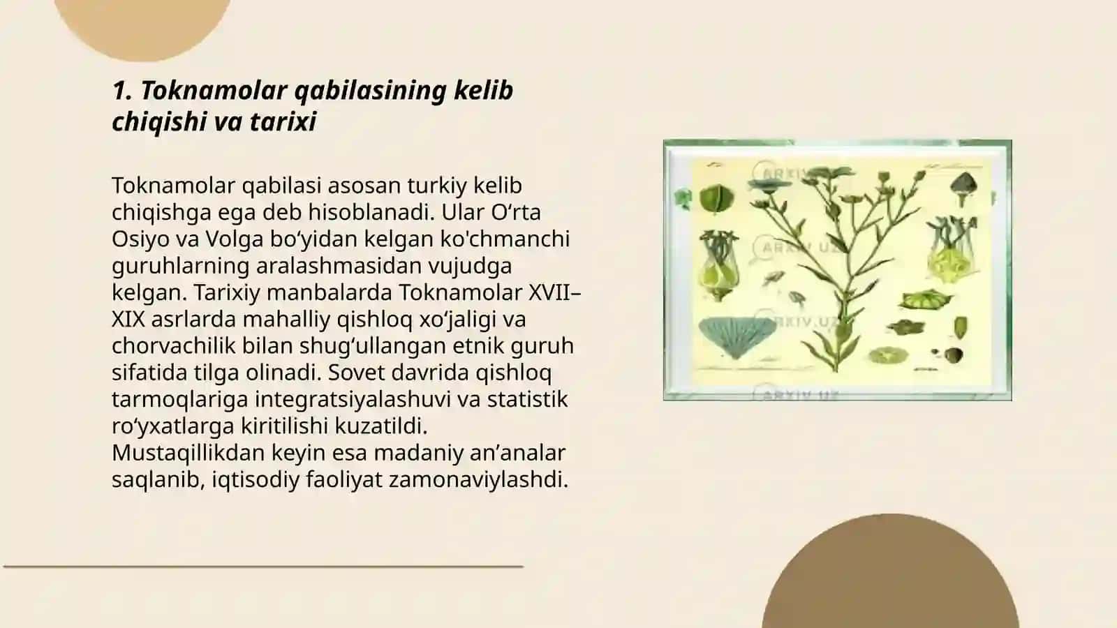 Toknamolar qabilasi 3