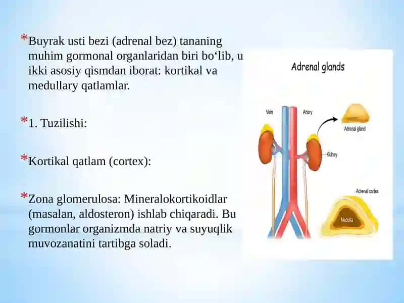 O’tkir buyrak ustibezi yetishmovchiligi 3