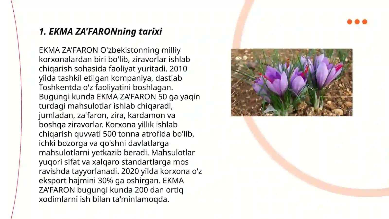 EKMA ZA'FARON, Crocus sativus 3