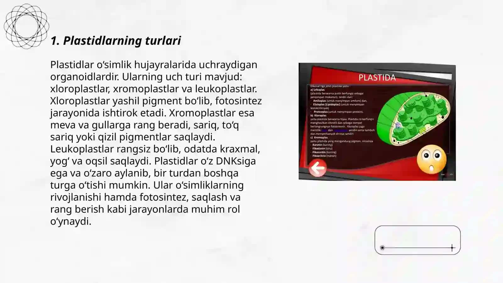 Plastidalarning o'simlik organizmidagi ahamiyati 3