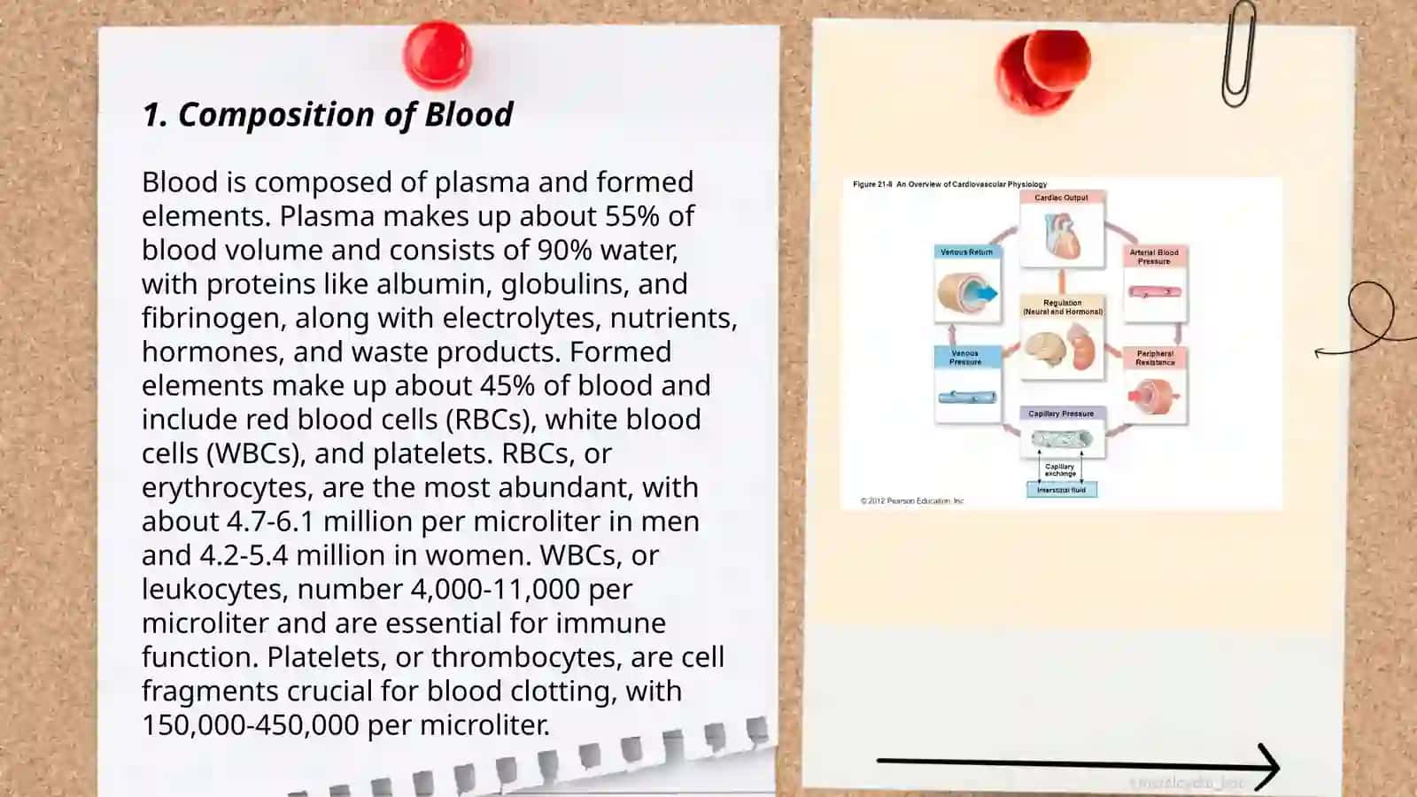 Physiology of Blood 3