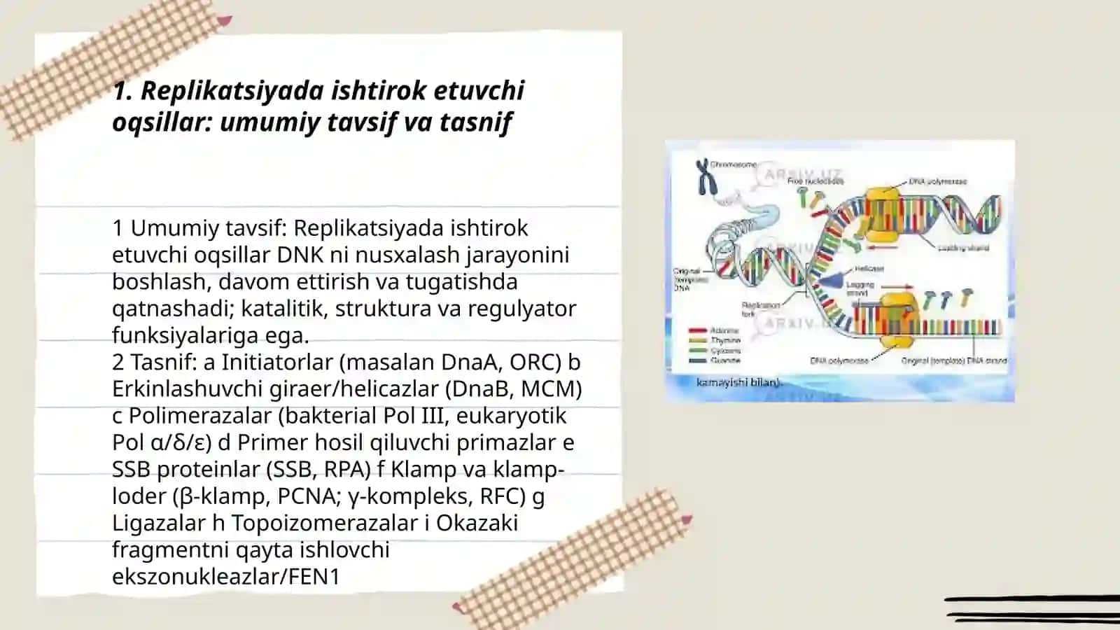 Replikatsiyada qatnashuvchi oqsil xillari 3