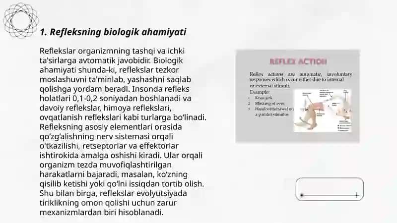 Refleks turlari 3
