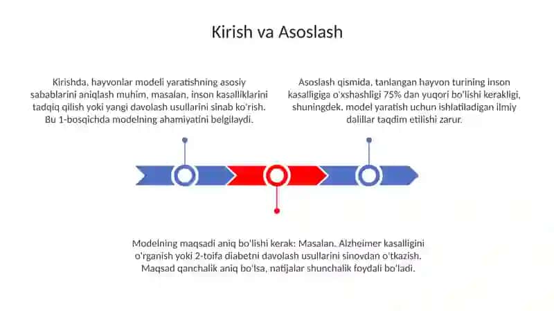Hayvon modelini yasash 3
