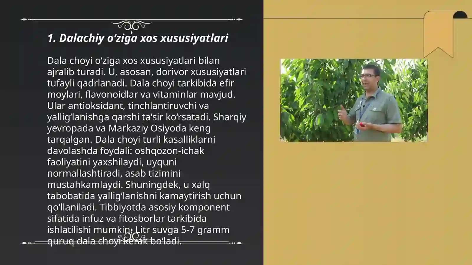 Dalachiy yetishtirish texnalogiyasi 3