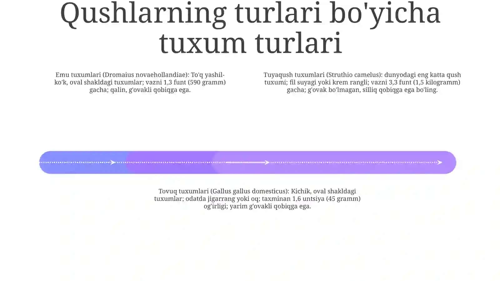 Tuxum Va Tuxum Turlari 3