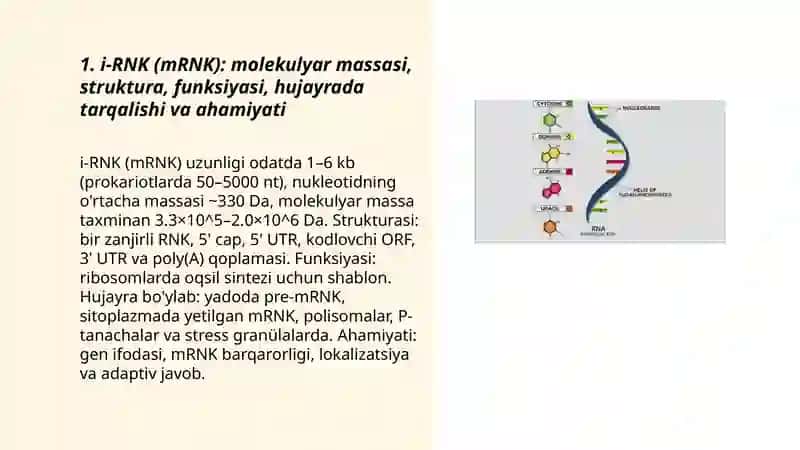 RNK va i-RNK protsessi 3