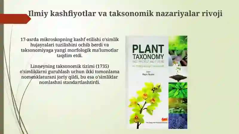 O'simliklar Taksonomiyasi 3