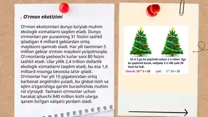 O‘rmon ekotizimi 3