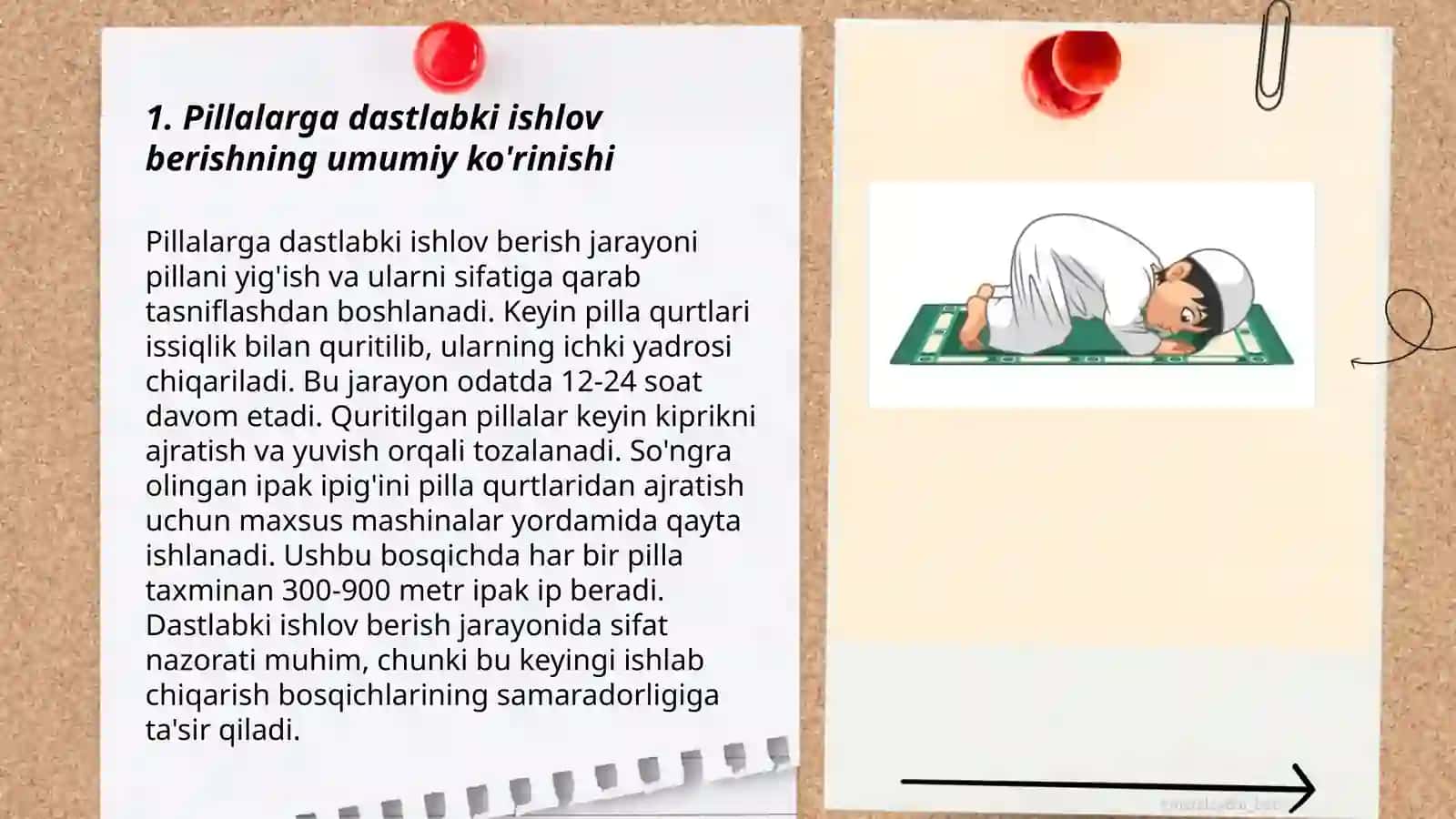 Pillalarga dastlabki ishlov berish texnikalari 3