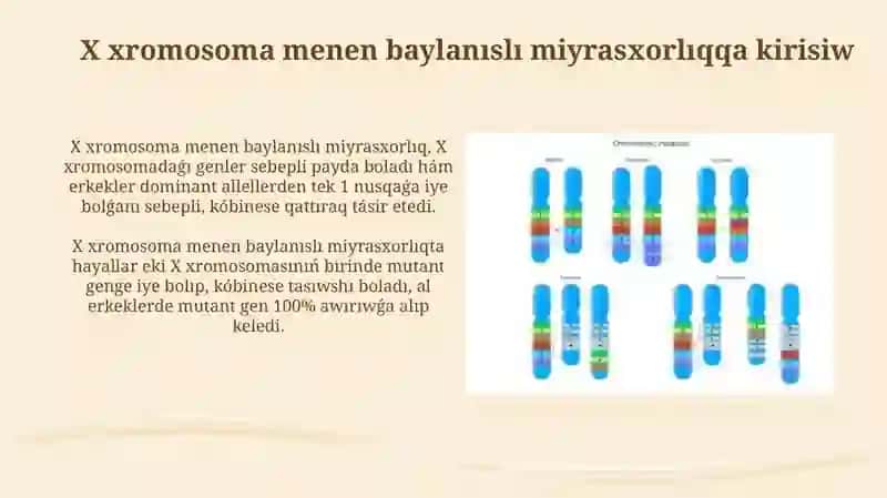 X xromosoma menen baylanıslı miyrasxorlıq 3