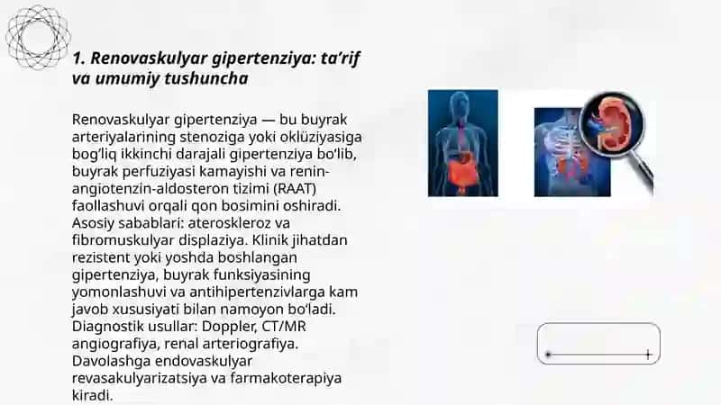 Renovaskulyar gipertenziya 3