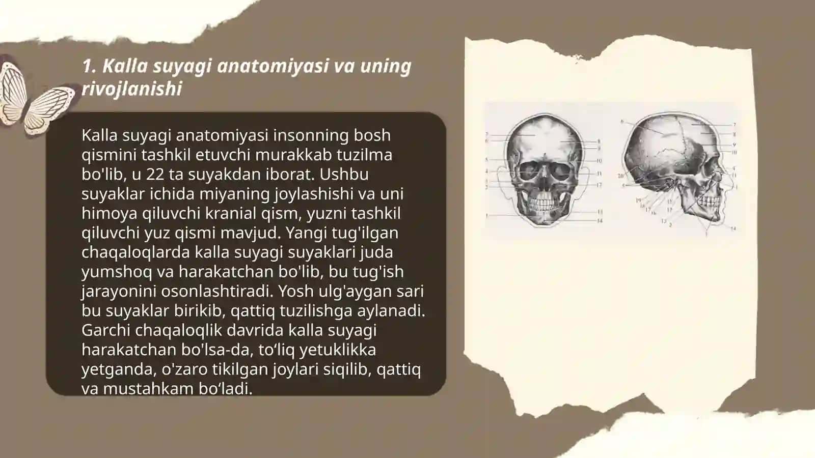 Kalla suyagi anatomiyasi va uning rivojlanishi 3