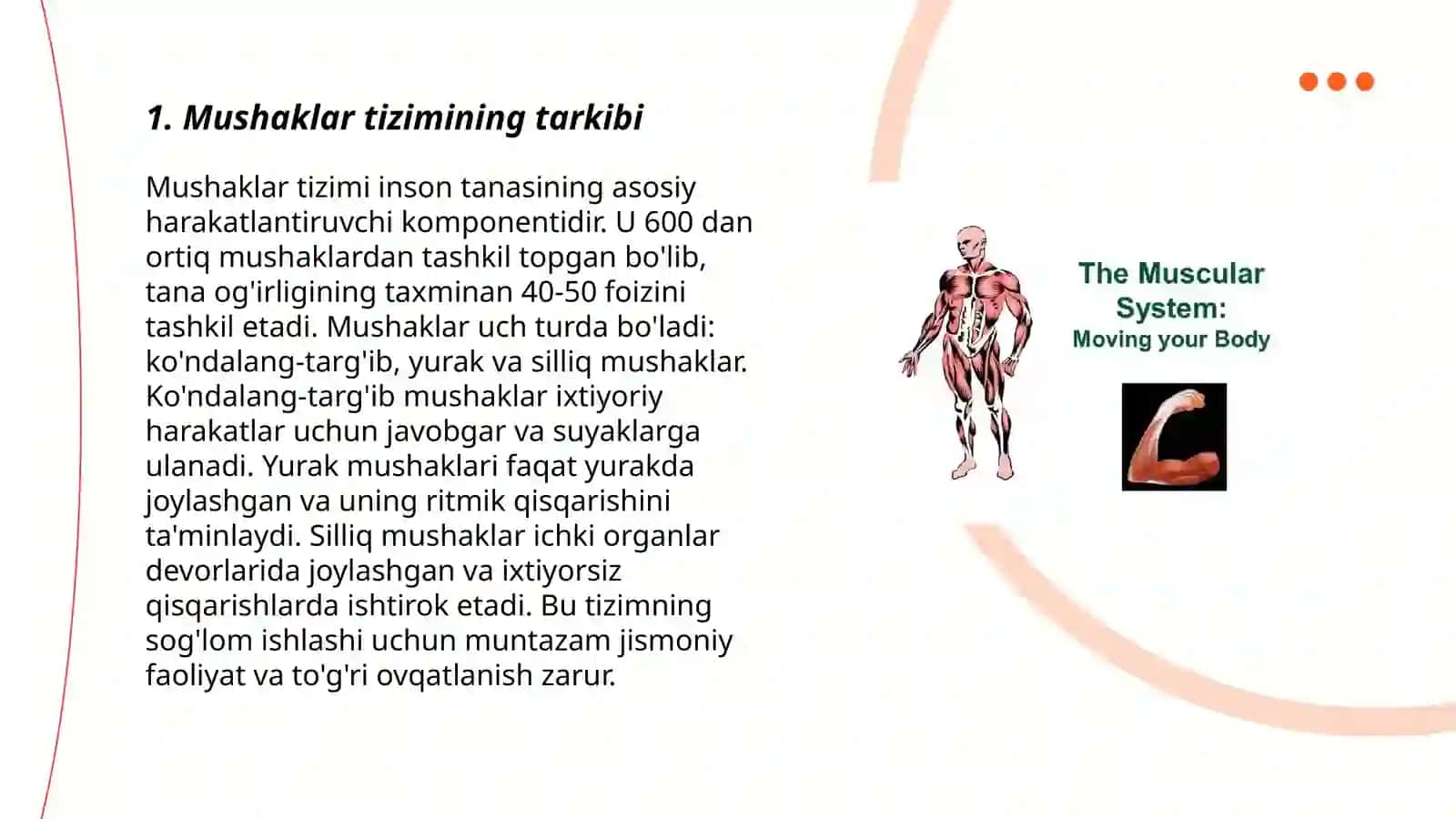 Mushaklar tizimi 3