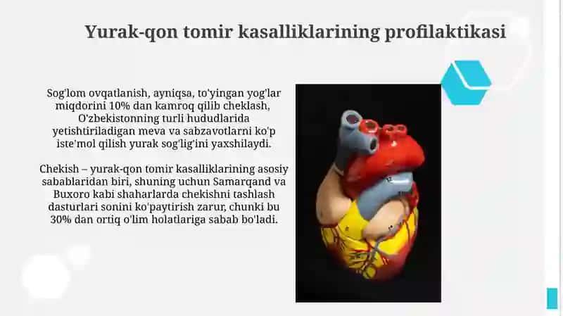 Yurak-qon tomirlar sistemasi 3
