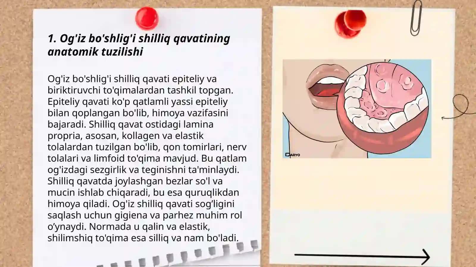 Og'iz bo'shlig'i shilliq qavati 3