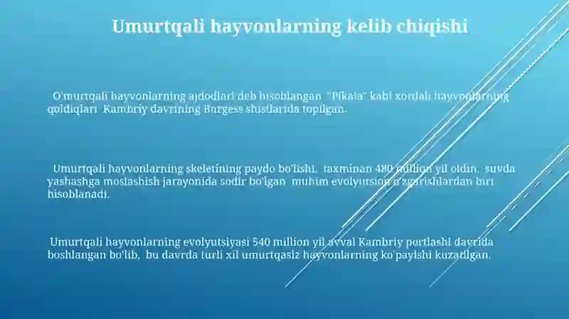 Umurtqalilarning kelib chiqishi 3
