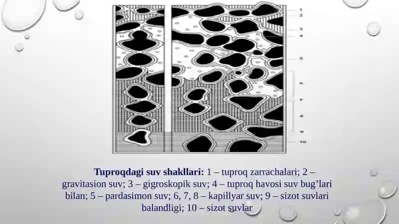 Tuproqning suv xossalari va suv rejimi 3