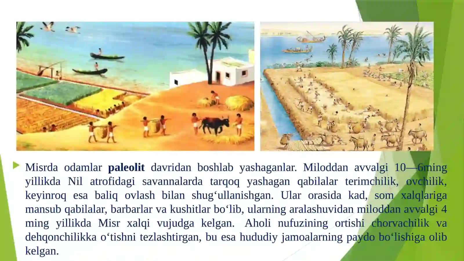 Qadimgi Misr sivilizatsiyasi 3