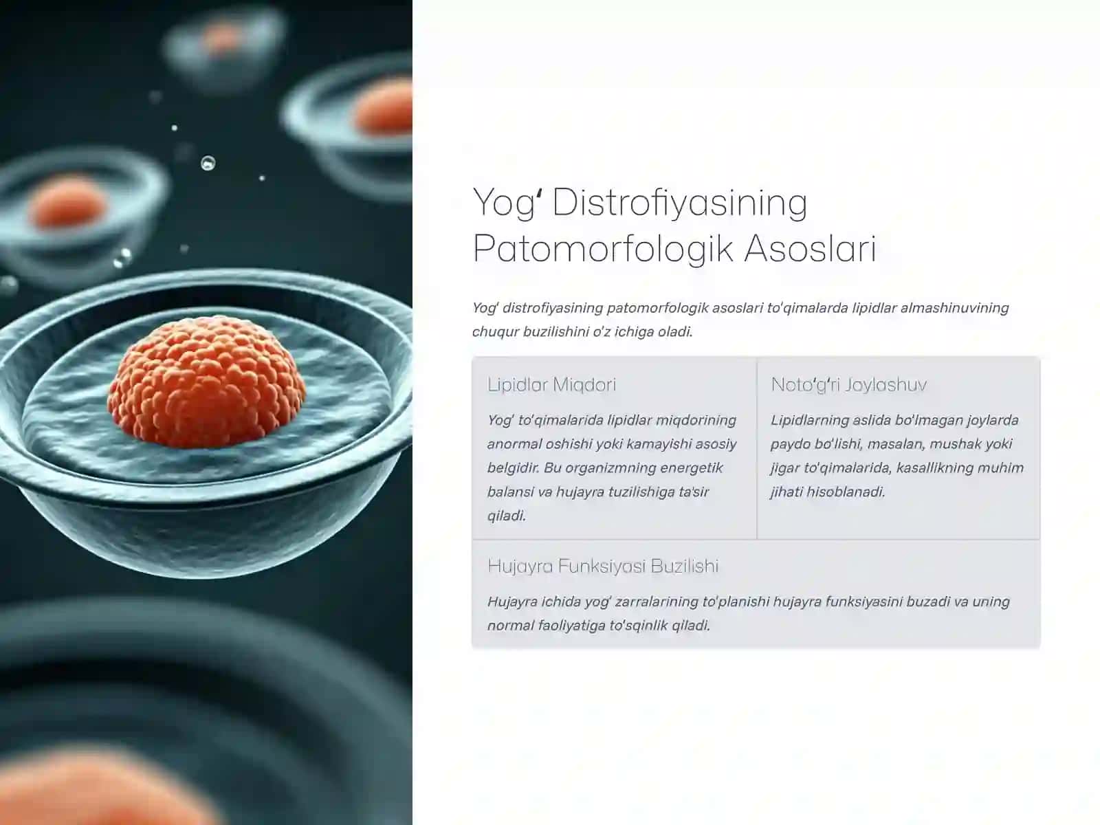 Yogʻ Distrofiyasining Patomorfografiyasi 3