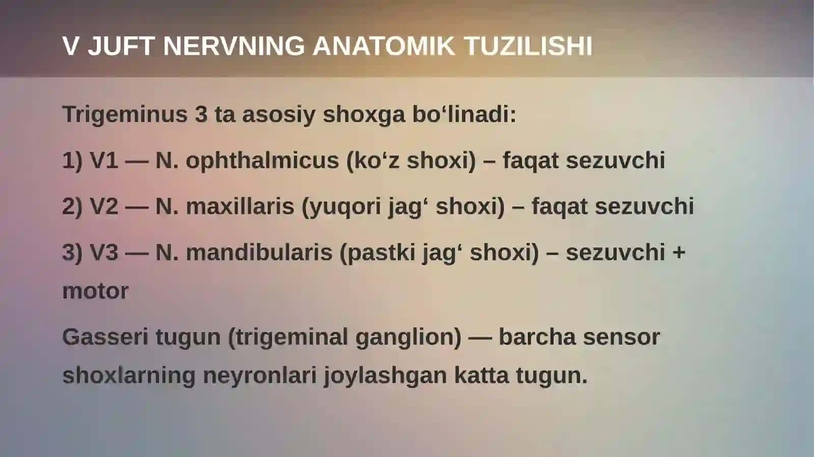 V JUFT NERV(NERVUS TRIGEMINUS) 3