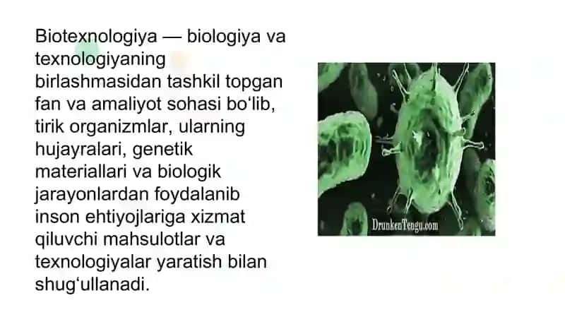 Mikroorganizmlar biotexnologiyasi 3