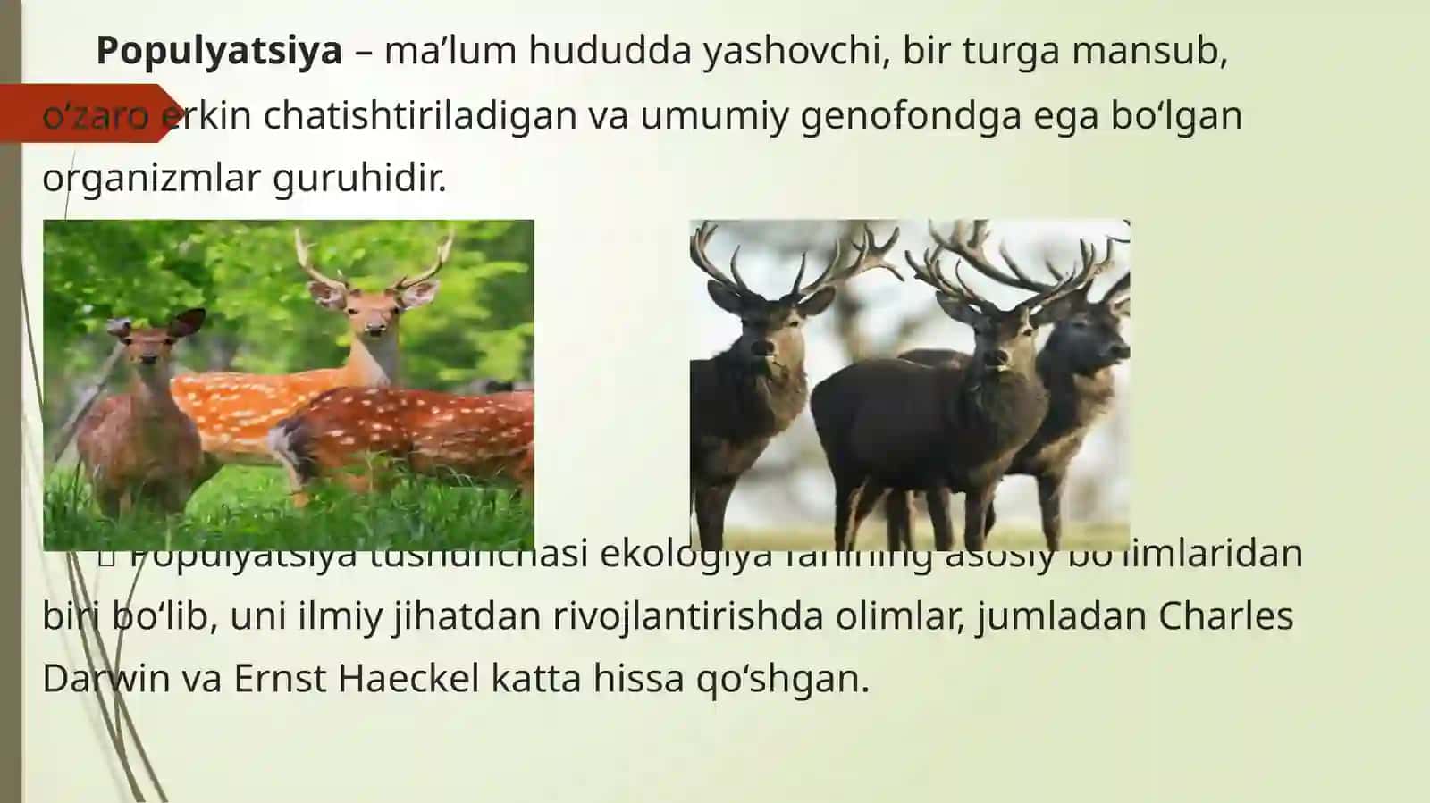 Populyatsiya haqida tushuncha 3