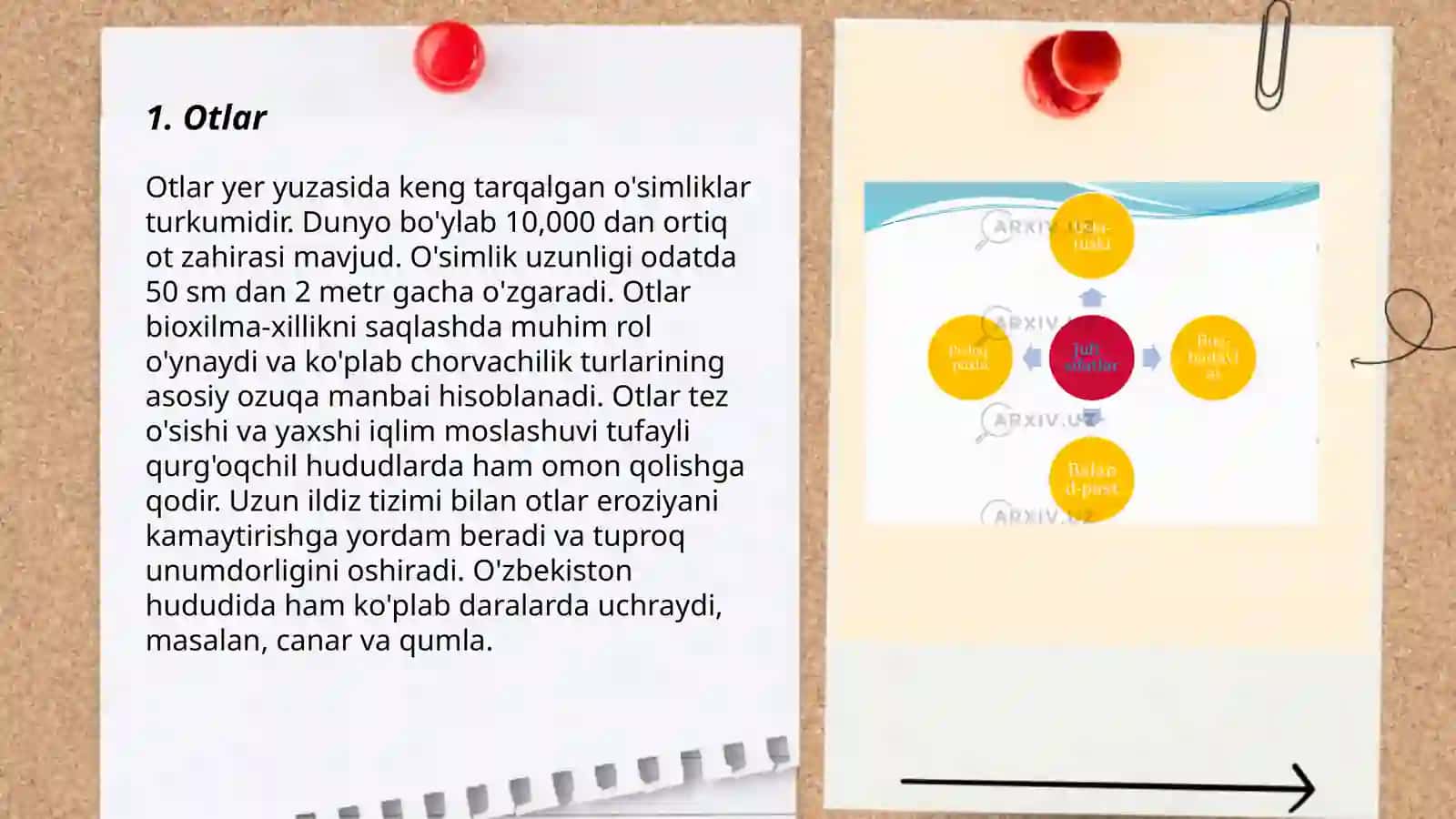 Morfologiya. So'z turkumlari 3